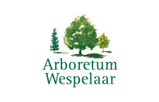 Arboretum Wespelaar